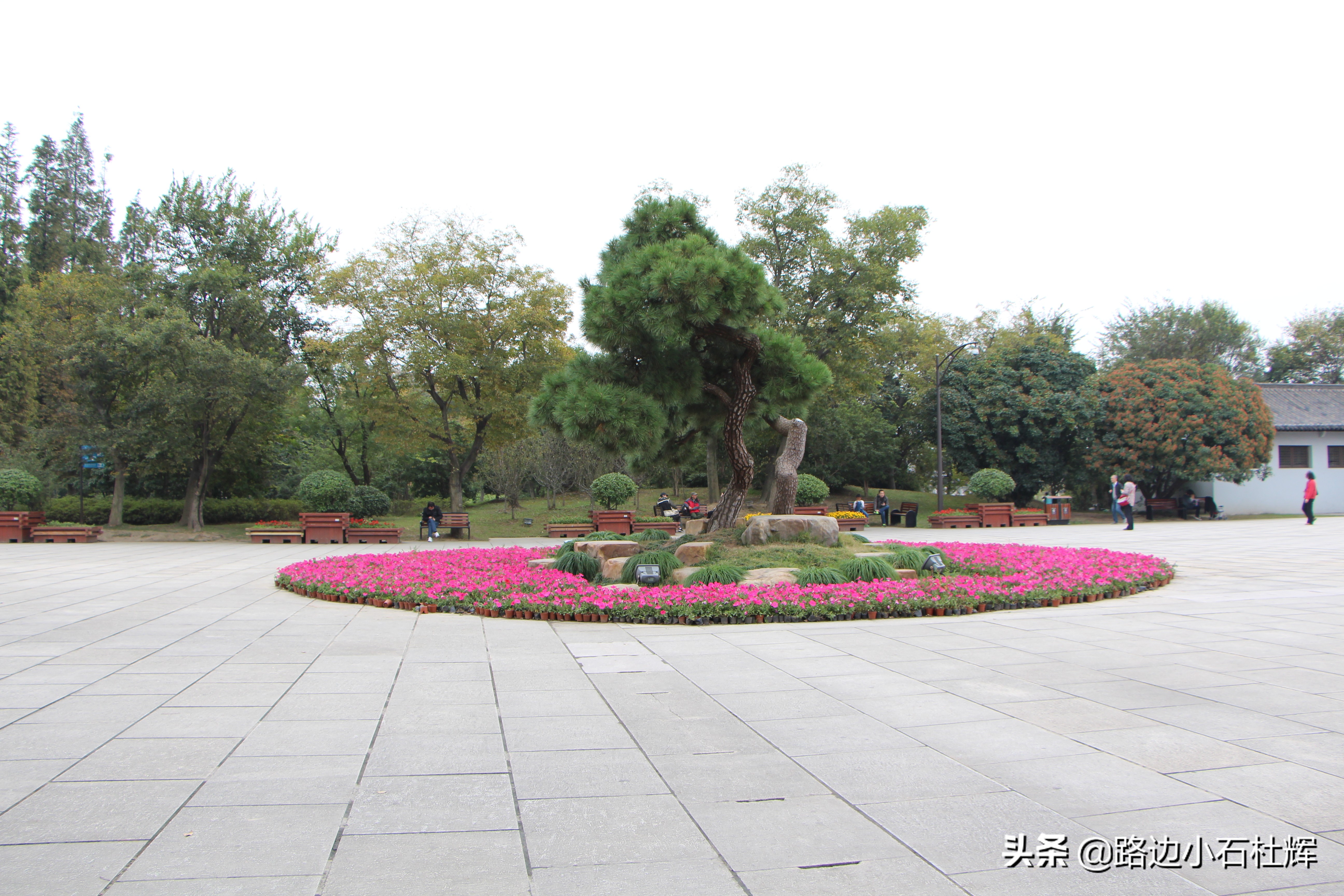 扬州瘦西湖之行,扬州瘦西湖游一圈