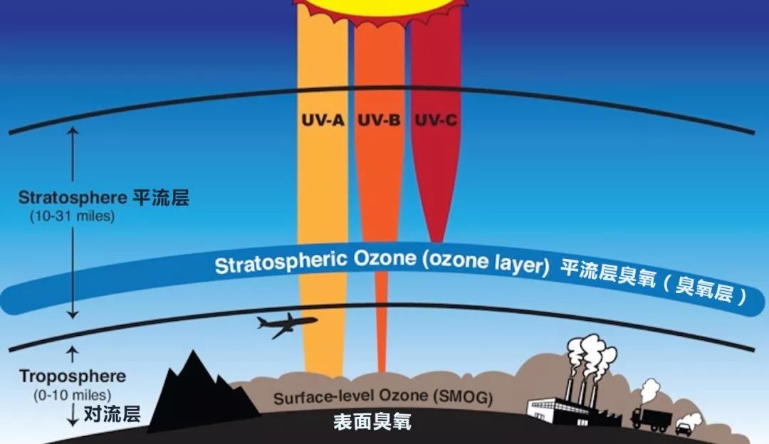 老外喜欢晒太阳不怕老吗,老外喜欢晒黑自己