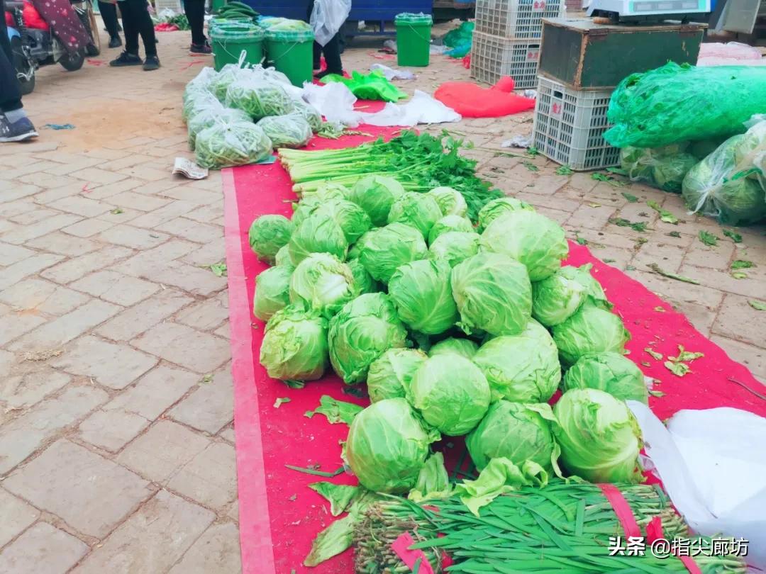 廊坊杨税务集市,在早市遇见久违的人间烟火气