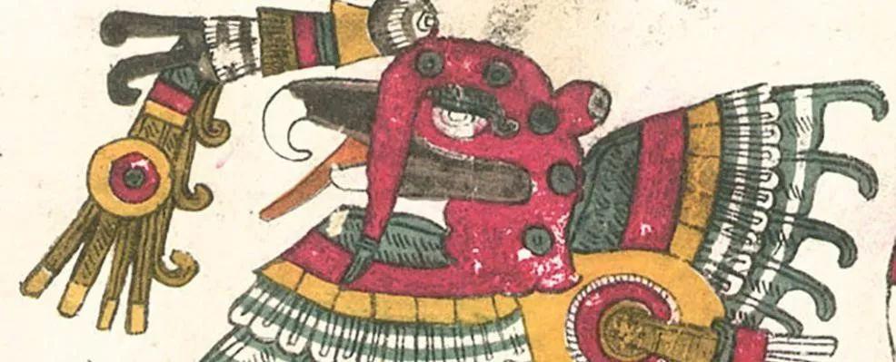 为什么火鸡那么难吃,火鸡有多辣