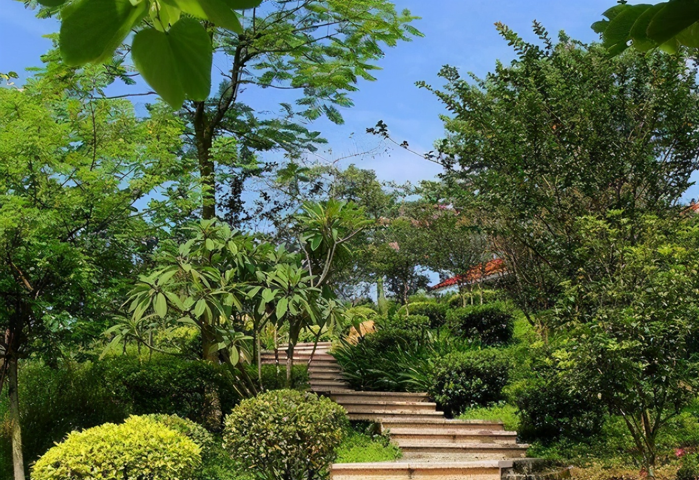 广州黄山鲁森林公园有多少个台阶,广州黄山鲁森林公园景观图片