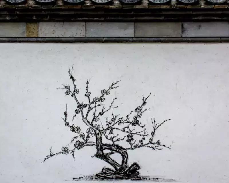 南京的秋天浪漫吗,一起去看南京最美的秋天