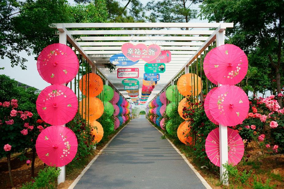 南京溧水千亩玫瑰,南京玫瑰园千亩花海迎来盛花期