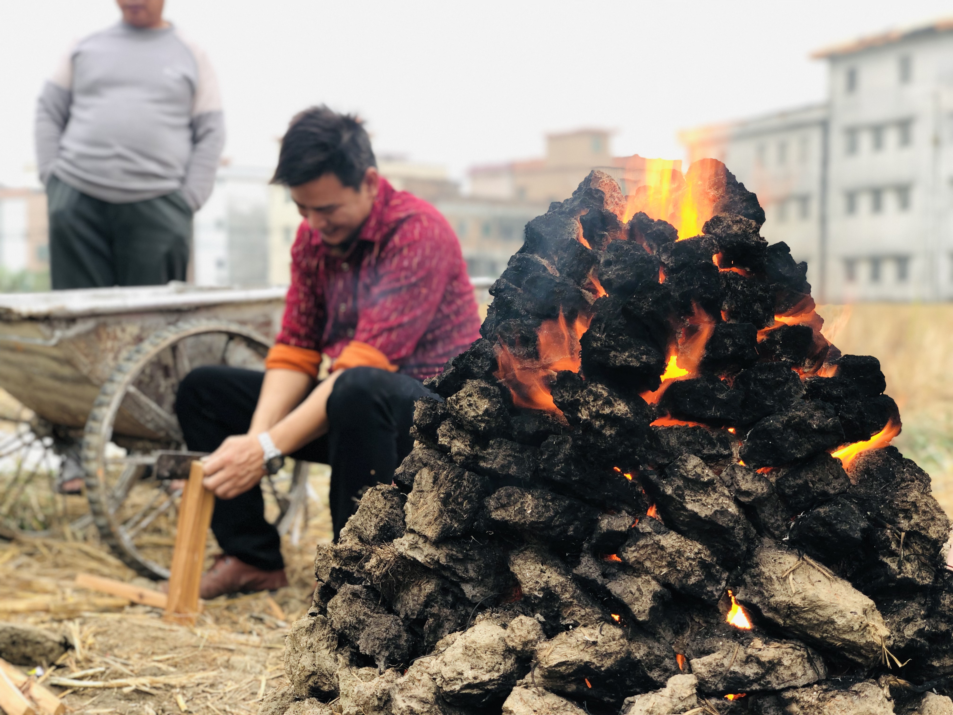 江门至道会跆拳道,开平苍龙跆拳道