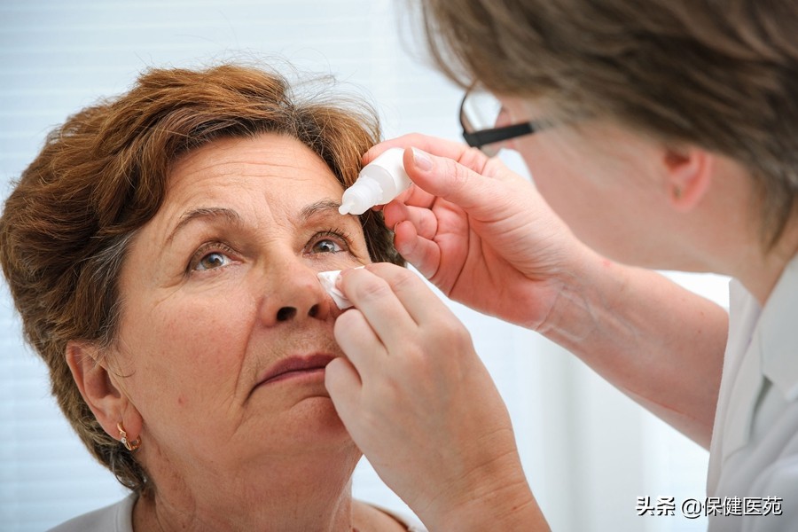 飞入云端的翅膀,飞入翅膀歌词