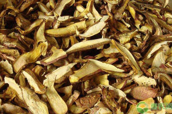 干菌子多少钱一斤,市场上常见的干菌子