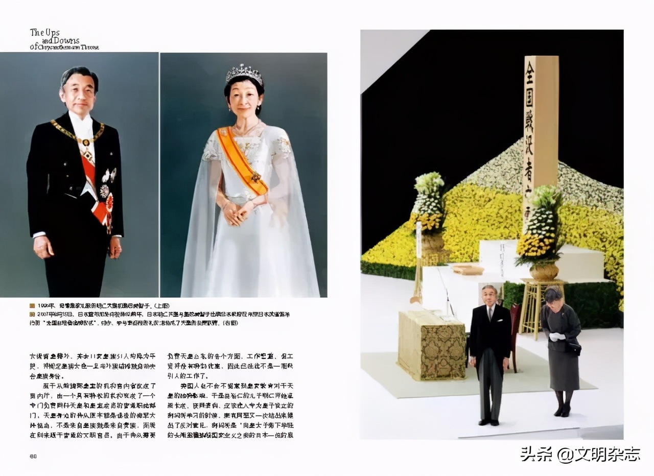 菊花王朝盛衰记,菊花王朝故事