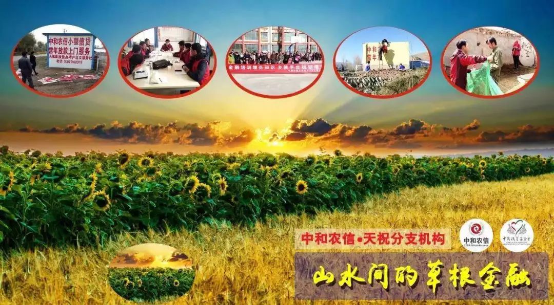 沈南鹏投资红杉资本,沈南鹏说红杉资本能为你做点什么