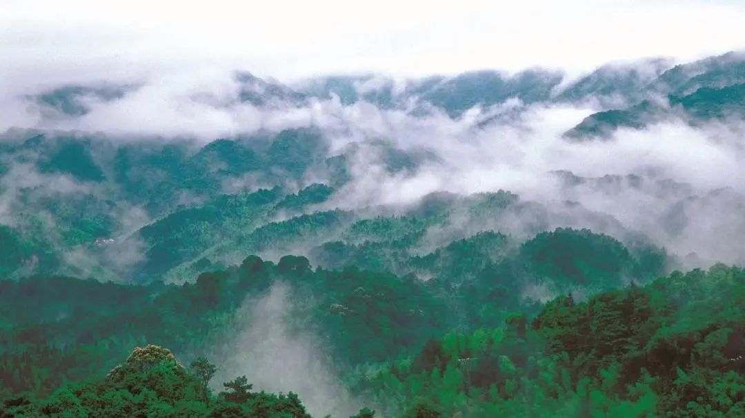 九九重阳望故乡,南昆山秋色