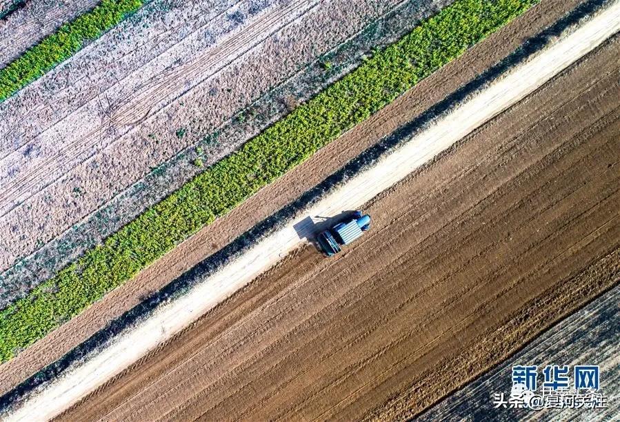 风雨无阻向前进抗疫之歌歌词,风雨无阻抗击疫情人人有责