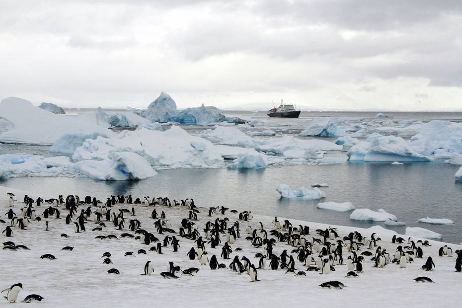 极地冰盖融化会造成什么样,南北极冰盖融化海平面会升高多少
