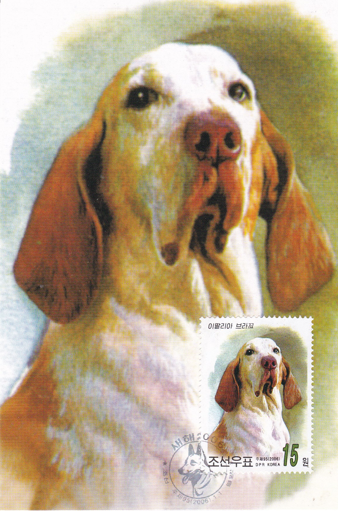 关于生肖狗的电影大全,12生肖狗的电影