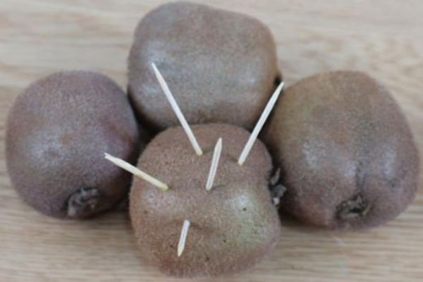 猕猴桃不熟怎么办,猕猴桃不熟该怎么办