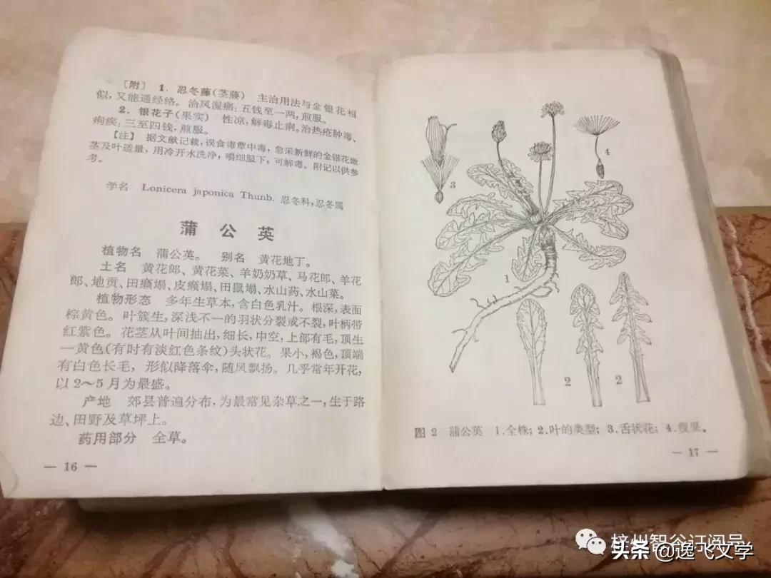 四川绵阳三台——一座有依(医)有靠,有肴(药)有味的城市