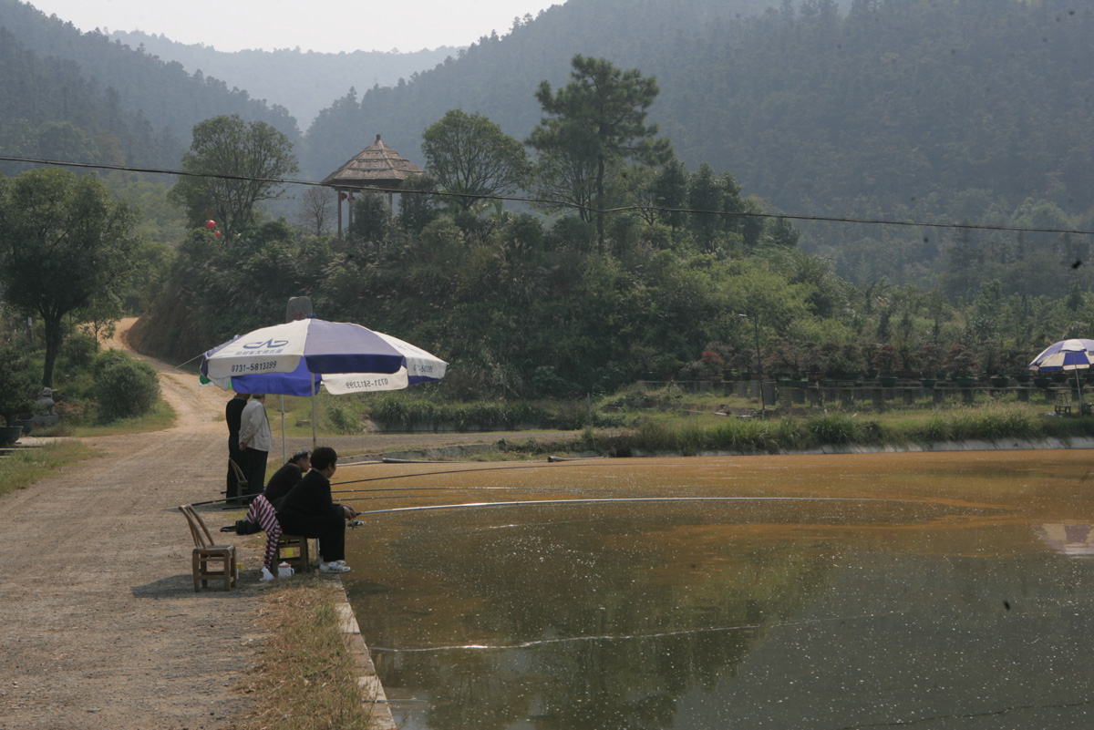 梅溪湖的葡萄园,梅溪湖有没有葡萄园