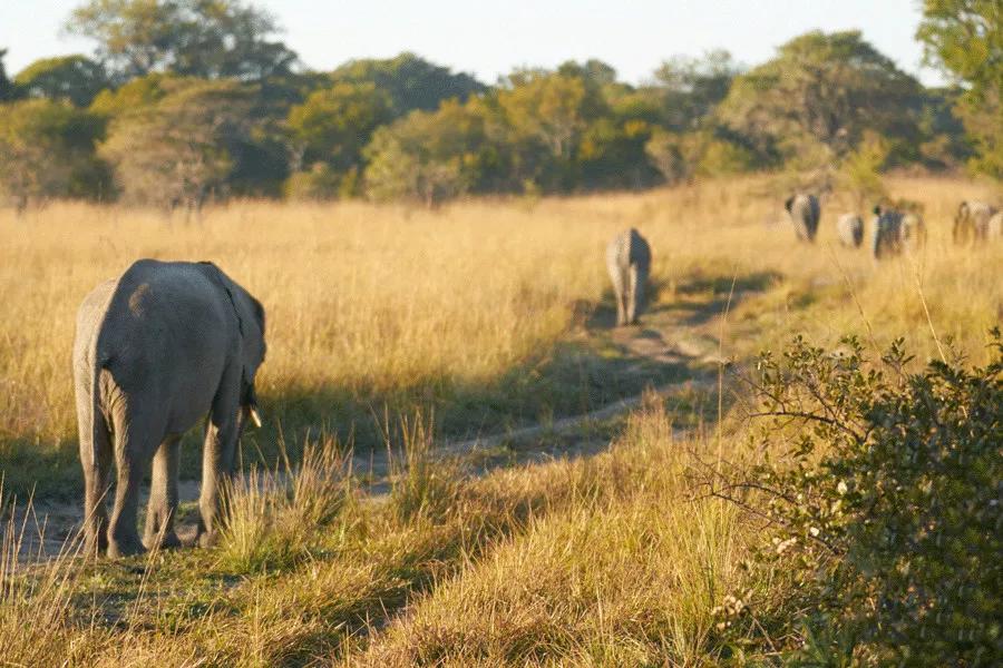 只为一串佛珠，他活剥了我妈的皮：人心有多可怕，你根本想象不到