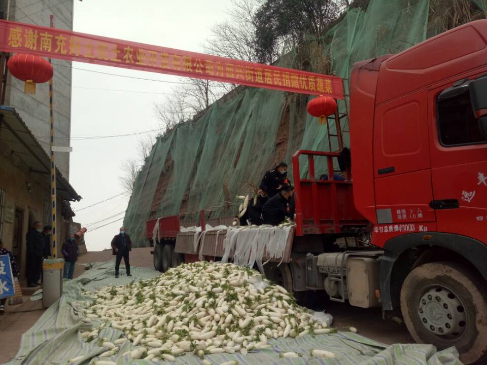 南充嘉陵江最近发生的事,南充嘉陵路发生了啥