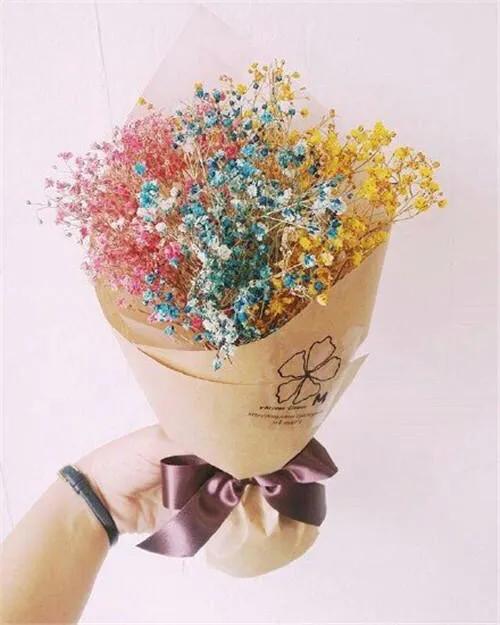 父母不远游我们却漂泊在远方,我留在这座城市的理由完整版