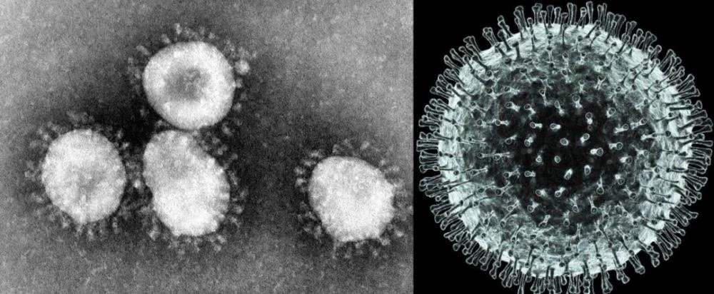 粪便会有新冠状病毒传播吗,粪便会有新型冠状病毒传播吗