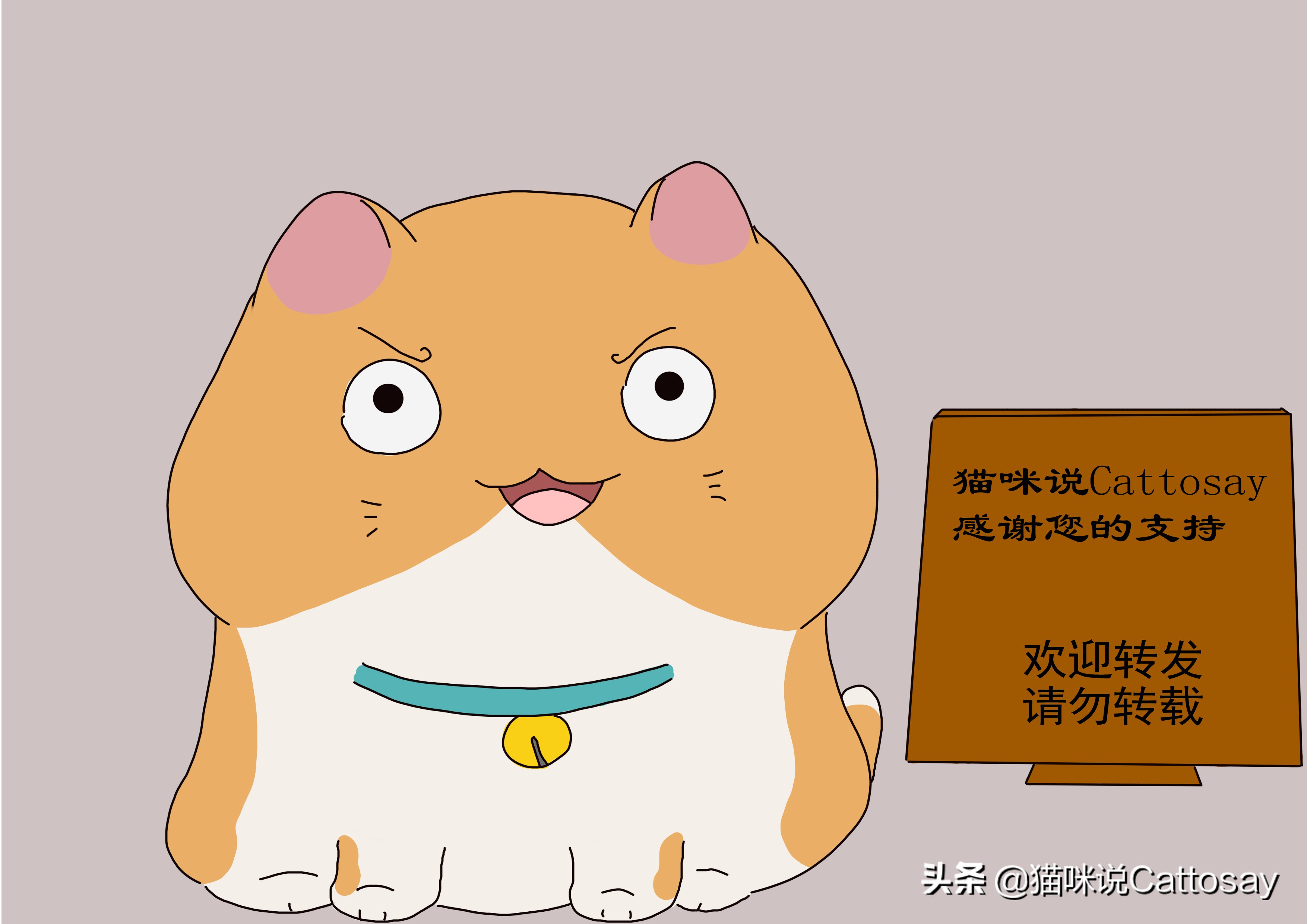 猫的捕食习性,猫总吃不胖是什么原因