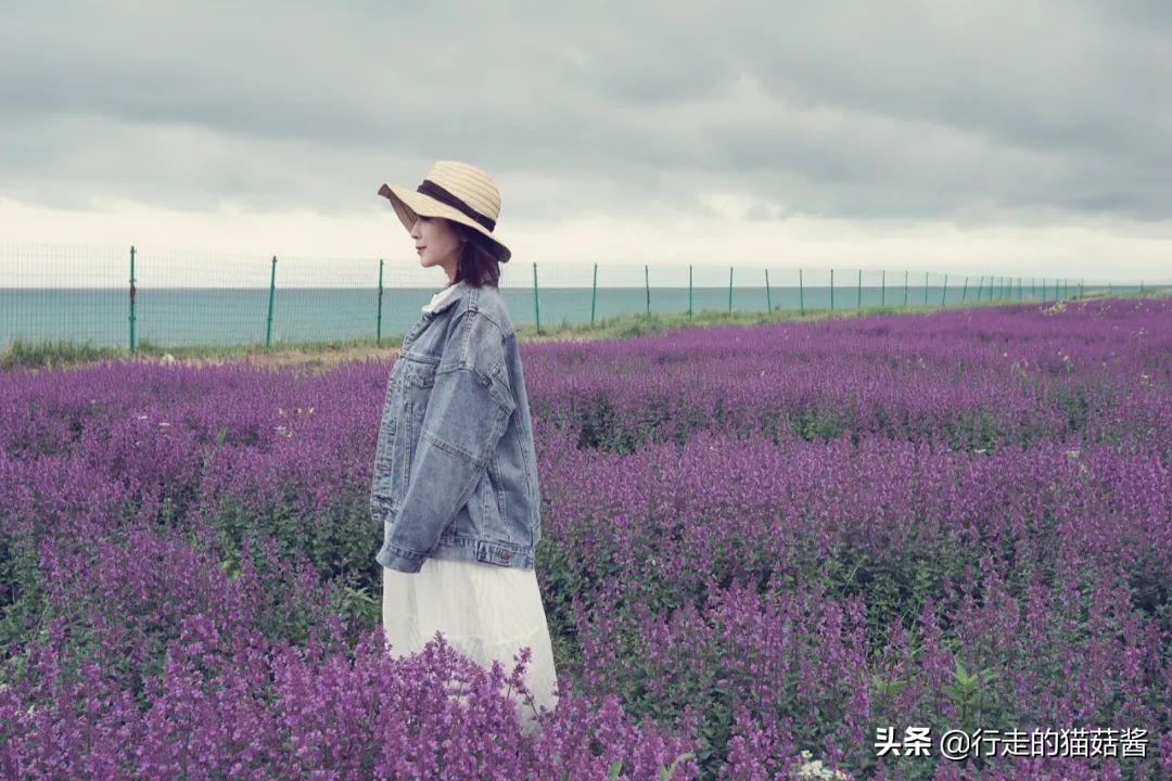 西宁旅游交通攻略路线,西宁避坑攻略