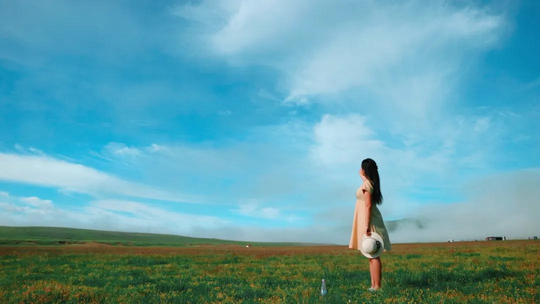 生气的代价深度好文,生气的代价血淋淋教训