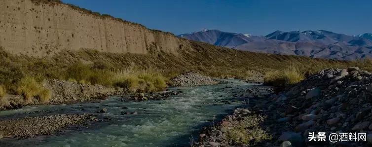 一瓶真正的自然酒的诞生丨Zorzal酒庄专访