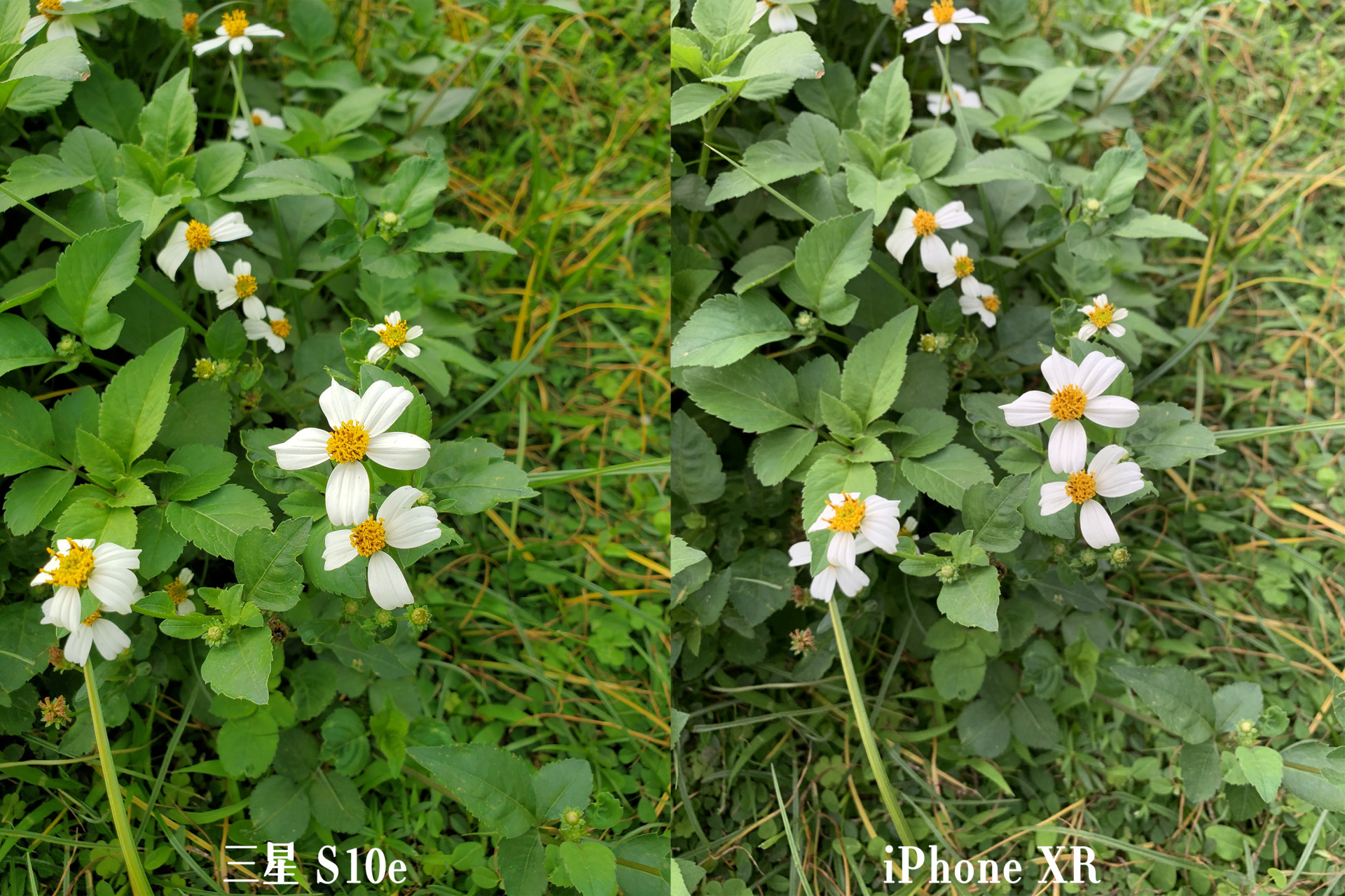 三星s10e详细测评,三星s10e最新测评