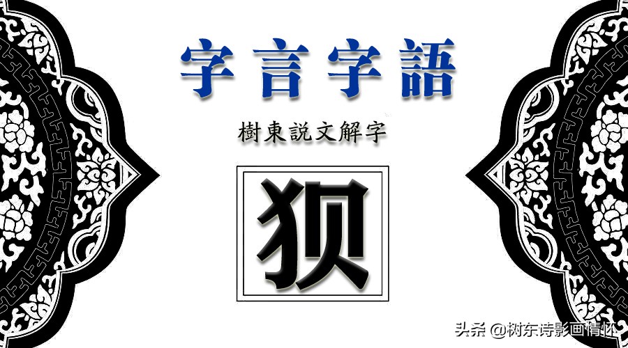狈字的演变,狈字的演变过程