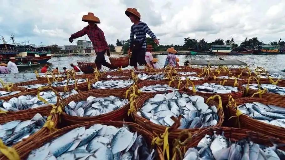 海南自驾游最佳路线攻略最新,成都到海南自驾游攻略及费用