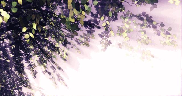 高三语文近义实词辨析复习,高三语文文言文实词分类