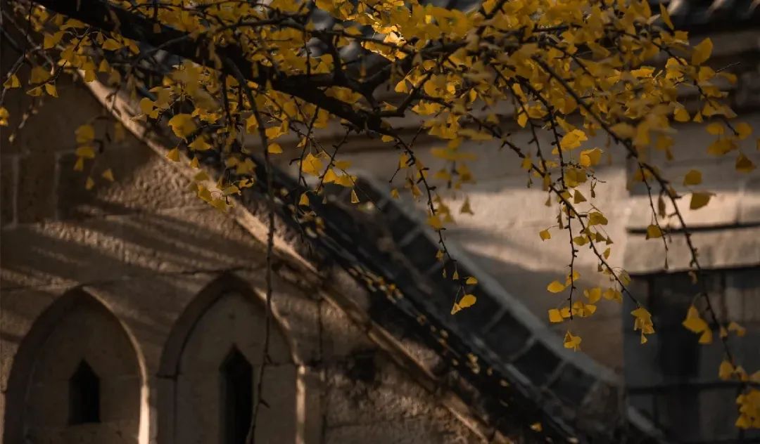 行走烟台市,行走烟台山