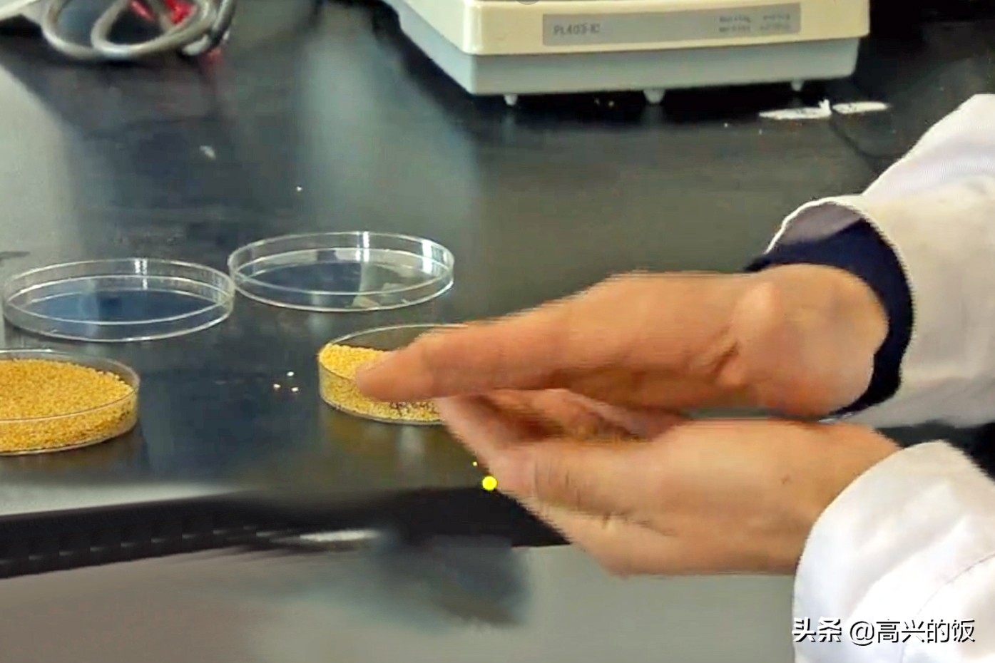 买小米怎么挑选才正确,小米哪些东西不建议购买