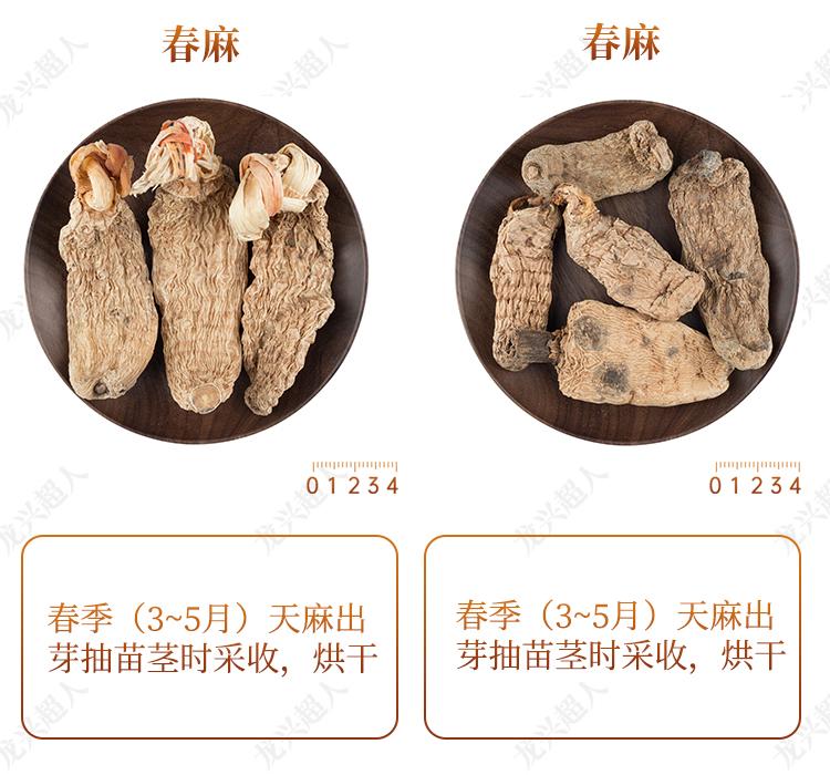 安徽道地药材天麻,天麻的道地药材