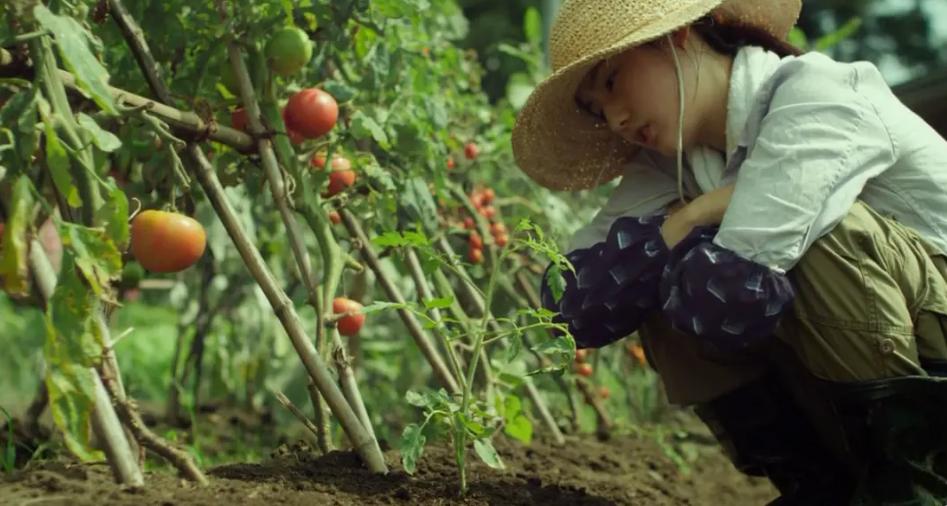 小森林豆瓣,逃出丛林豆瓣