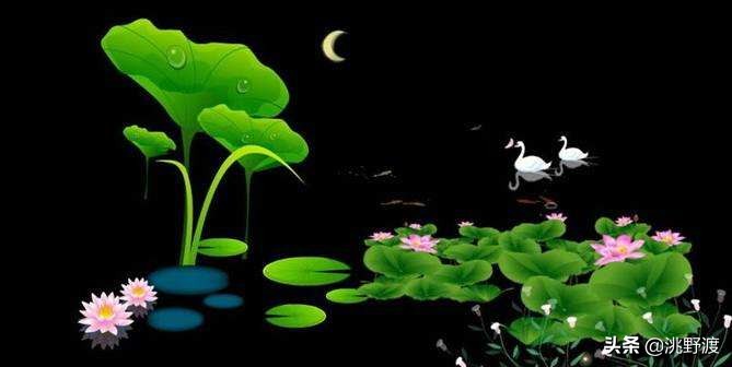 上联荷塘,上联荷塘月色美求下联