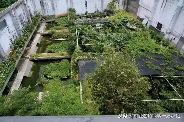 中国养殖市场,中国养殖的发展及现状