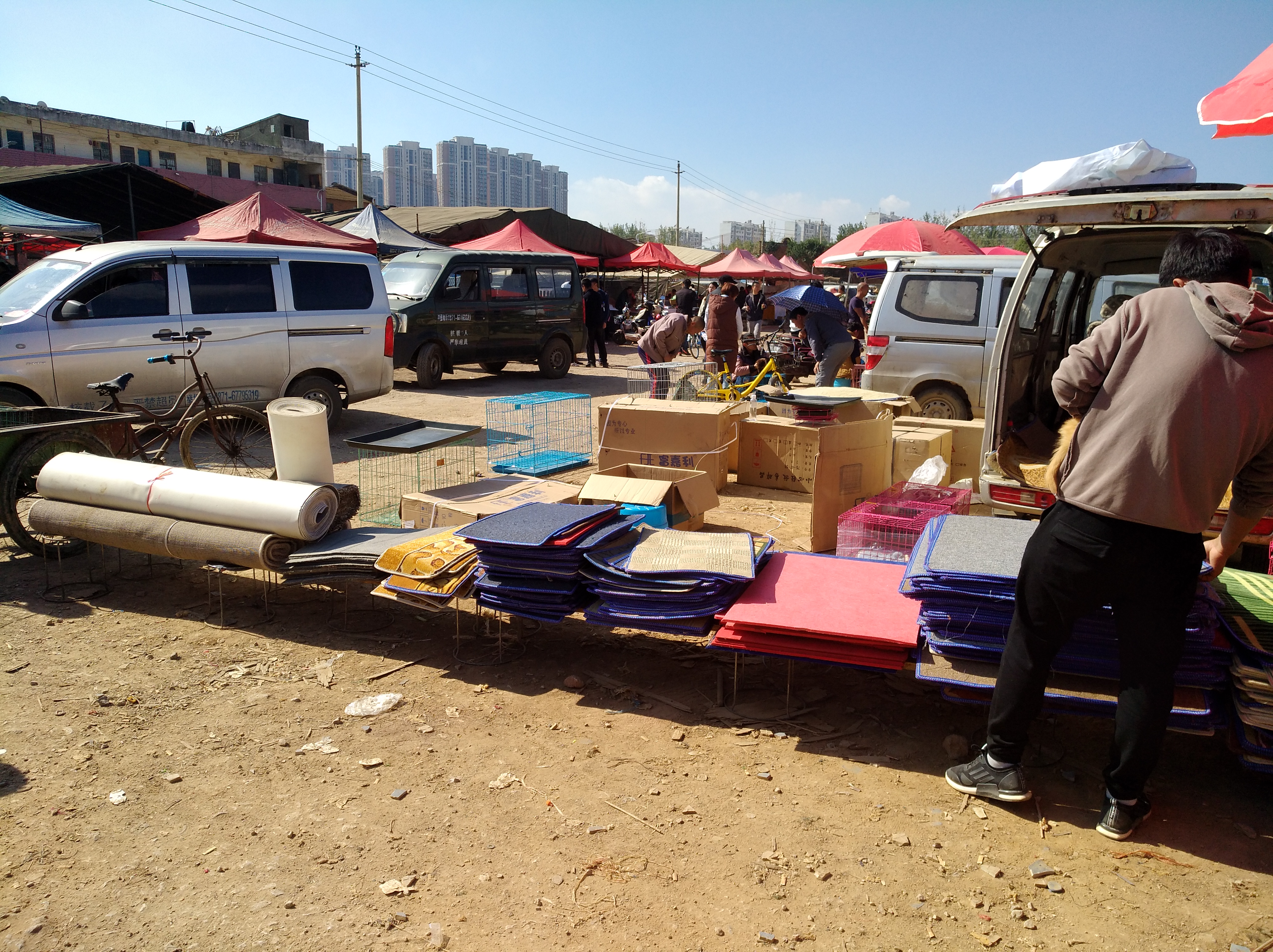 找代理卖宠物狗靠谱吗,网上买宠物狗要注意什么