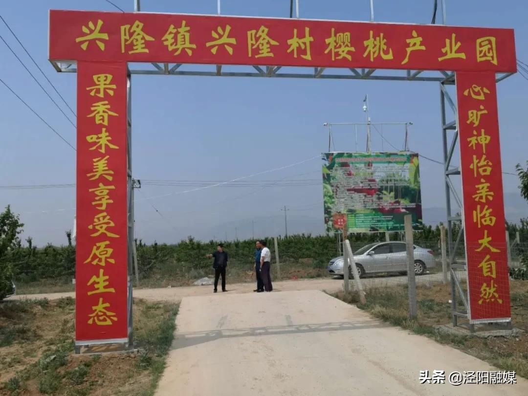 泾阳大樱桃,吃樱桃需要注意哪些事项