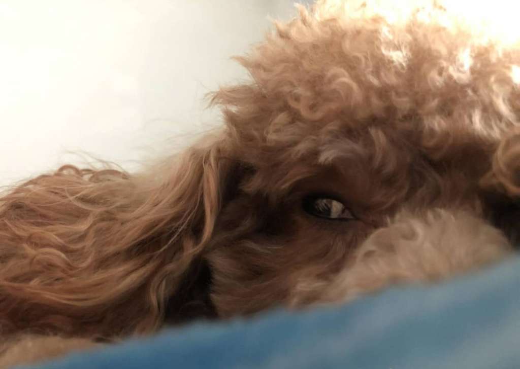 五一抽大奖活动,五一礼包抽奖