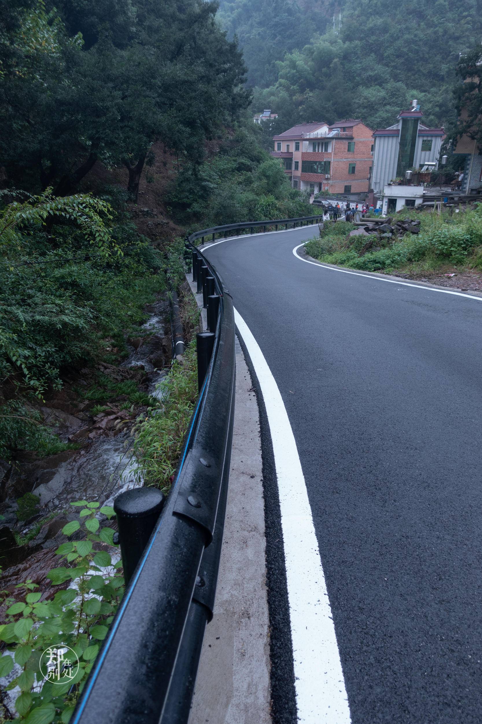 香榧古道,香榧古道徒步路线哪条景色美