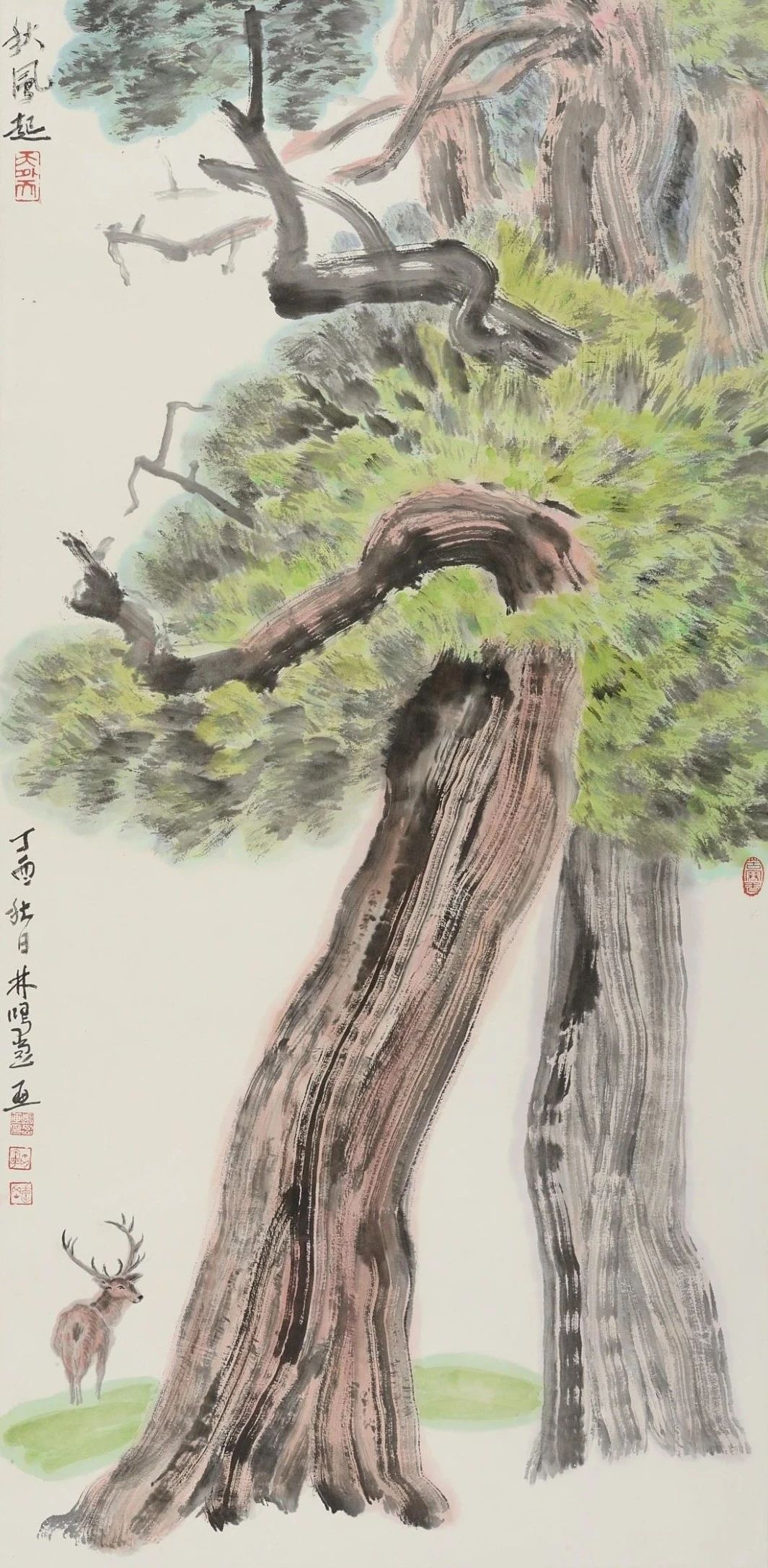 天趣×人物|林鳴崗：我們都是地球上的過客，是命運的共同體