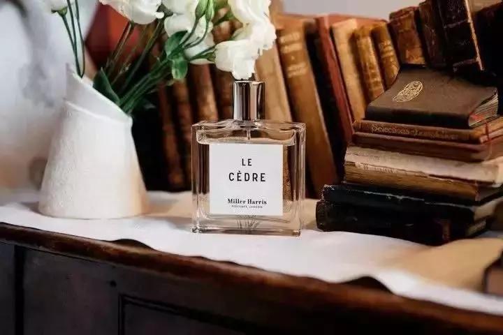 虽然首店概念快听烦了，但这25个首店品牌确实值得了解