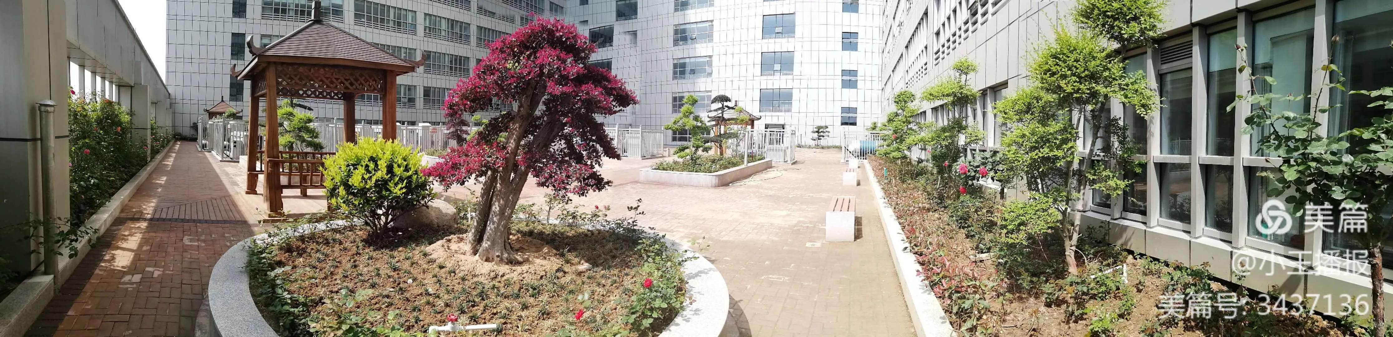 大美医院,大美南阳医圣祠