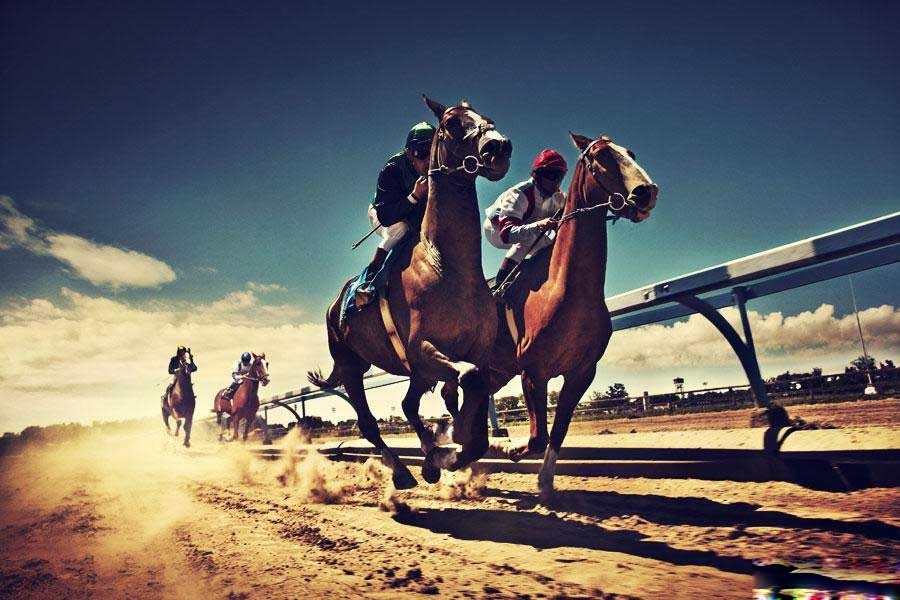 赛马第一名怎么说,赛马第一名和第二名