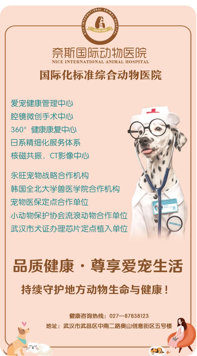 真香预警有哪些,怎样通过宠物粪便判断健康