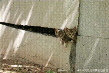 天津大学化工亚洲第一,天津大学化工专业在全国排名第几