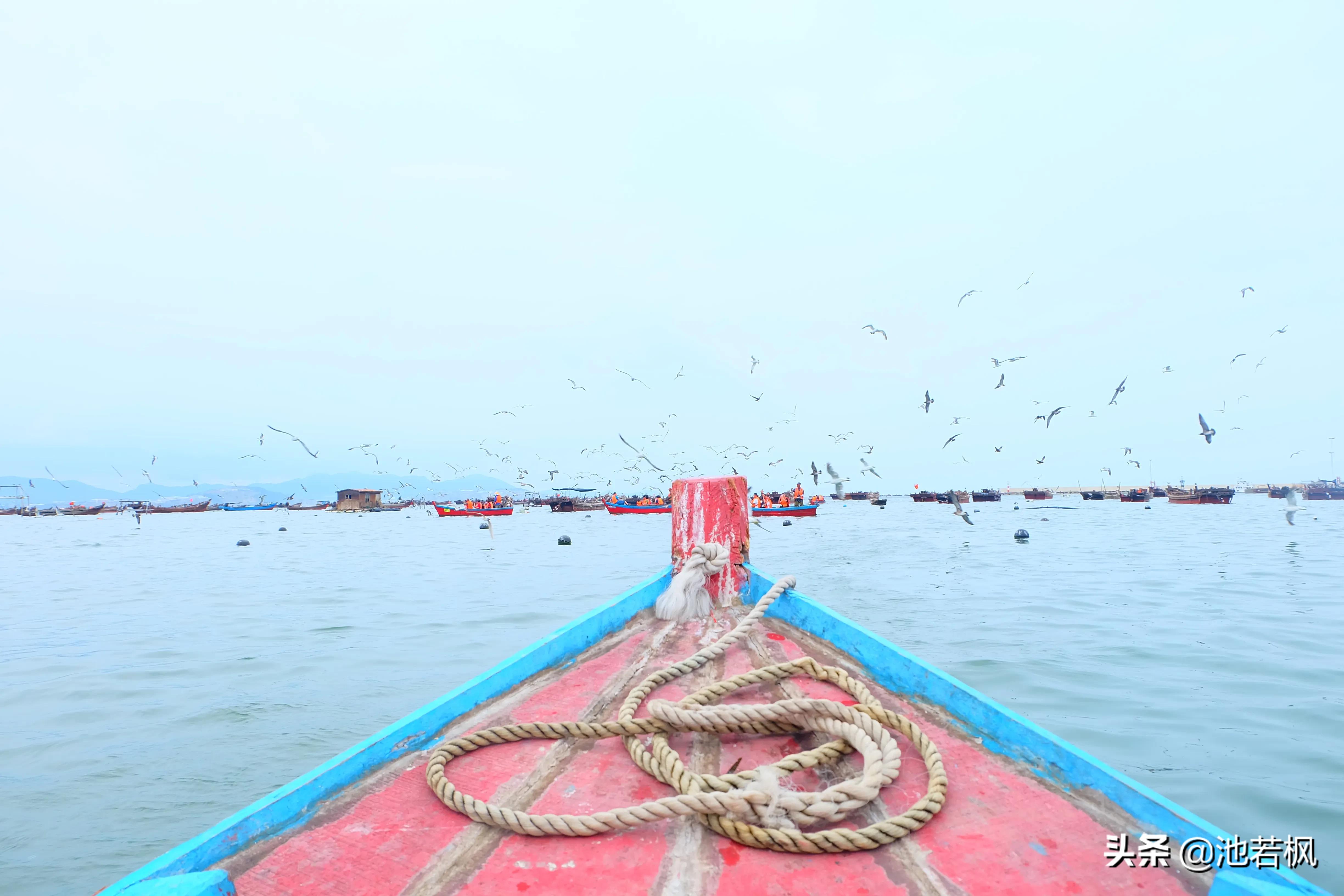 大连不一样的旅游,大连不一样的天气