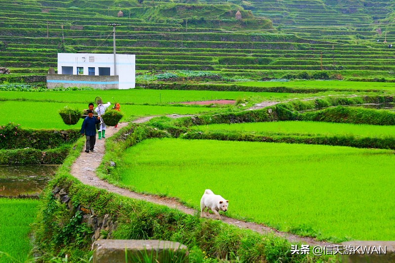 余秋雨关于西江千户苗寨的名句,西江千户苗寨以美丽回答一切