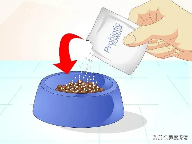 狗狗软便的解决方法,改善狗狗软便最有效的东西